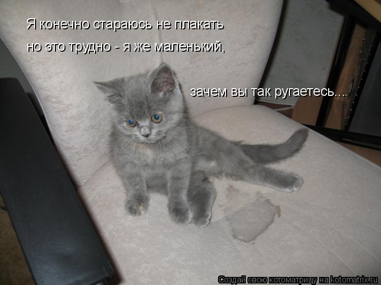 Я конечно стараюсь не плакать но это трудно - я же маленький, зачем вы так ругаетесь...... Котоматрица: Я конечно стараюсь не плакать но это трудно - я же маленький, зачем вы так ругаетесь...