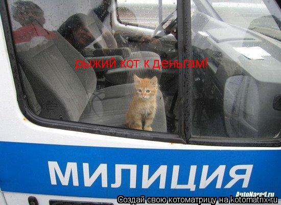 рыжий кот к деньгам!... Котоматрица: рыжий кот к деньгам!