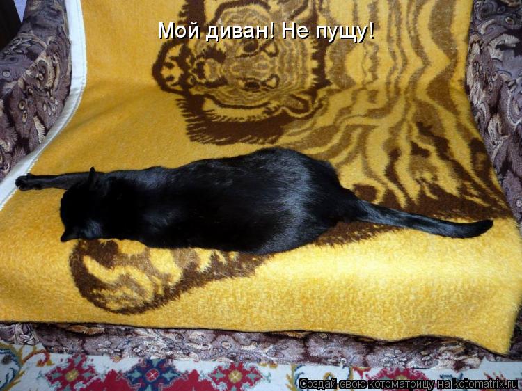 Мой диван! Не пущу!... Котоматрица: Мой диван! Не пущу!