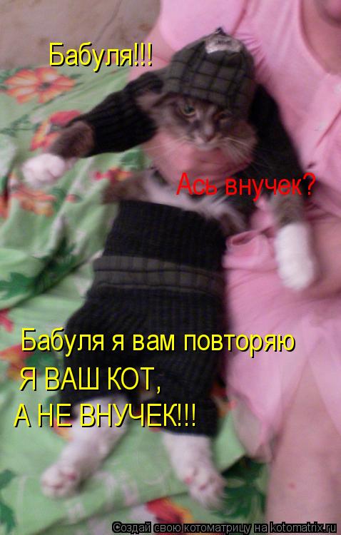 Бабуля!!! Ась внучек? Бабуля я вам повторяю Я ВАШ КОТ, А НЕ ВНУЧЕК!!!... Котоматрица: Бабуля!!! Ась внучек? Бабуля я вам повторяю Я ВАШ КОТ, А НЕ ВНУЧЕК!!!