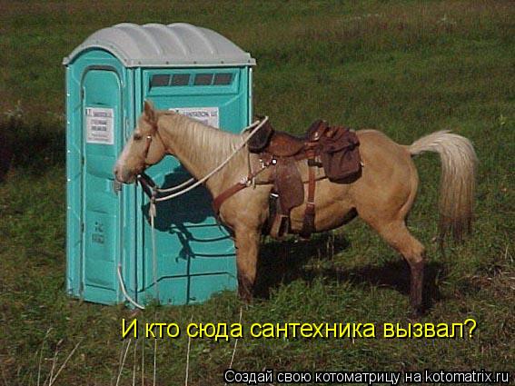 И кто сюда сантехника вызвал?... Котоматрица: И кто сюда сантехника вызвал?