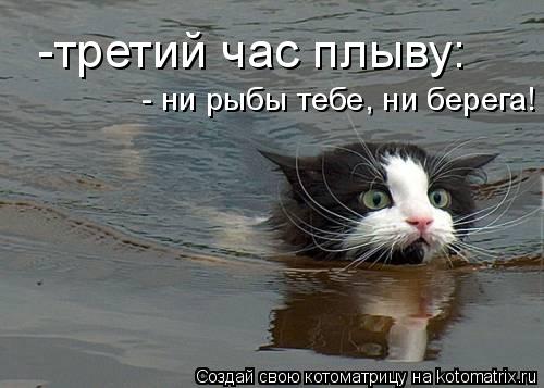 -третий час плыву: - ни рыбы тебе, ни берега!... Котоматрица: -третий час плыву: - ни рыбы тебе, ни берега!