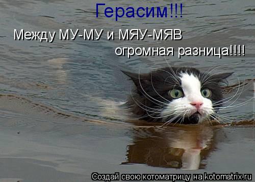 Между МУ-МУ и МЯУ-МЯВ огромная разница!!!! Герасим!!!... Котоматрица: Между МУ-МУ и МЯУ-МЯВ огромная разница!!!! Герасим!!!