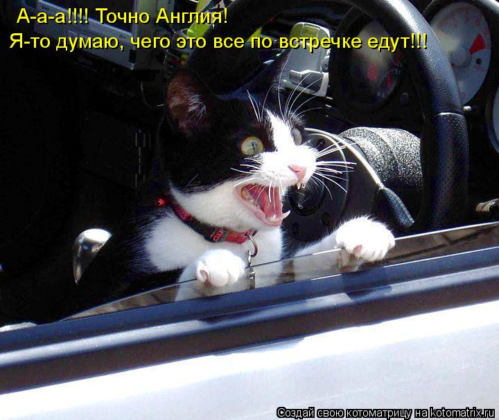А-а-а!!!! Точно Англия! Я-то думаю, чего это все по встречке едут!!!... Котоматрица: А-а-а!!!! Точно Англия! Я-то думаю, чего это все по встречке едут!!!