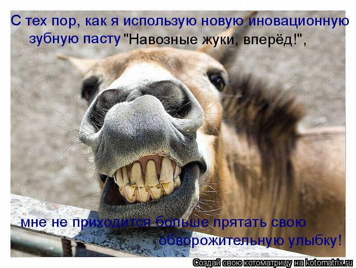 С тех пор, как я использую новую иновационную зубную пасту мне не приходится больше прятать свою "Нав... Котоматрица: С тех пор, как я использую новую иновационную зубную пасту мне не приходится больше прятать свою "Навозные жуки, вперёд!", обворожительную у