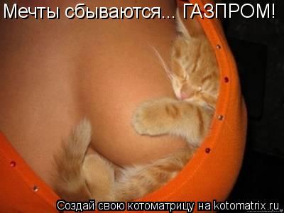 Мечты сбываются... ГАЗПРОМ!... Котоматрица: Мечты сбываются... ГАЗПРОМ!