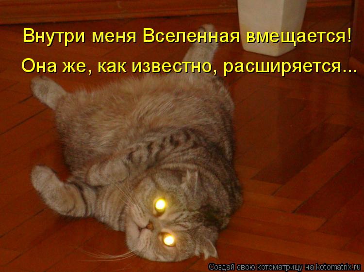 Котоматрица: Внутри меня Вселенная вмещается! Она же, как известно, расширяется...