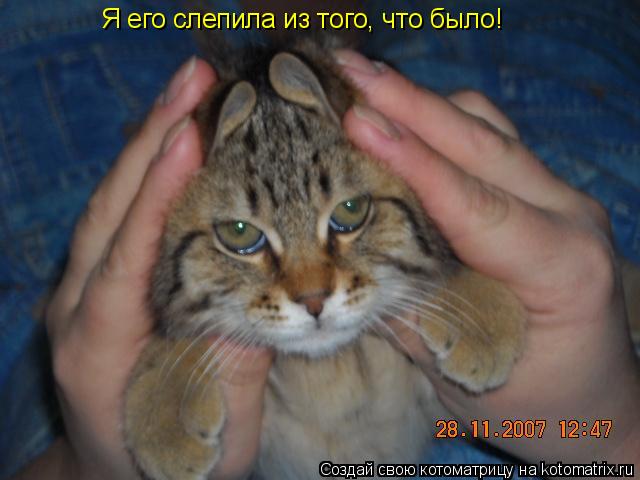 Я его слепила из того, что было!... Котоматрица: Я его слепила из того, что было!