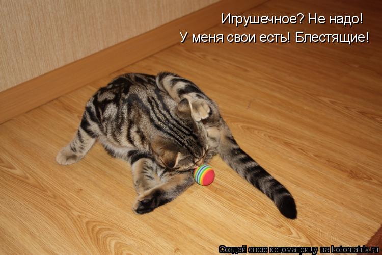 Игрушечное? Не надо! У меня свои есть! Блестящие!... Котоматрица: Игрушечное? Не надо! У меня свои есть! Блестящие!