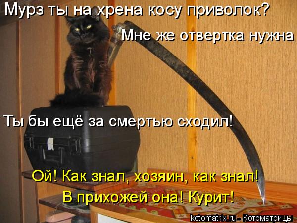 Мурз ты на хрена косу приволок? Ты бы ещё за смертью сходил! В прихожей она! Курит! Ой! Как знал, ... Котоматрица: Мурз ты на хрена косу приволок? Ты бы ещё за смертью сходил! В прихожей она! Курит! Ой! Как знал, хозяин, как знал! Мне же отвертка нужна