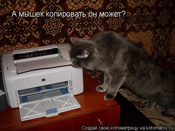 А мышек копировать он может?... Котоматрица: А мышек копировать он может?