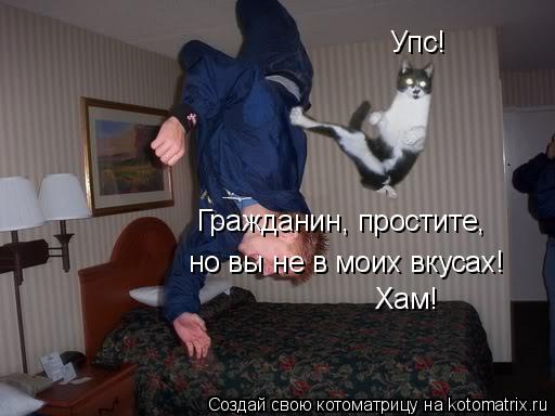 Упс! Гражданин, простите, но вы не в моих вкусах! Хам!... Котоматрица: Упс! Гражданин, простите, но вы не в моих вкусах! Хам!