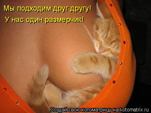 Мы подходим друг другу! У нас один размерчик!... Котоматрица: Мы подходим друг другу! У нас один размерчик!