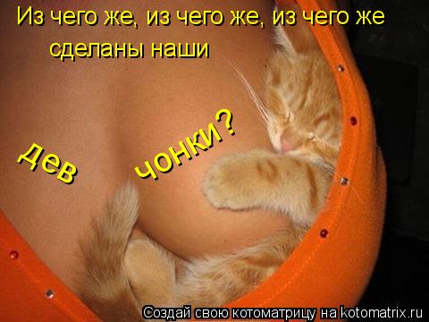 Из чего же, из чего же, из чего же сделаны наши дев чонки?... Котоматрица: Из чего же, из чего же, из чего же сделаны наши дев чонки?