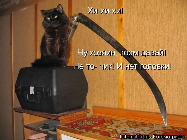 Хи-хи-хи! Ну хозяин, корм давай! Не то- чик! И нет головки!... Котоматрица: Хи-хи-хи! Ну хозяин, корм давай! Не то- чик! И нет головки!