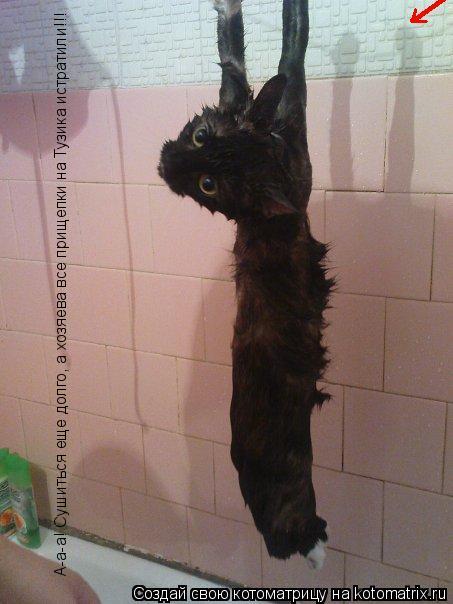 А-а-а! Сушиться еще долго, а хозяева все прищепки на Тузика истратили!!!... Котоматрица: А-а-а! Сушиться еще долго, а хозяева все прищепки на Тузика истратили!!!