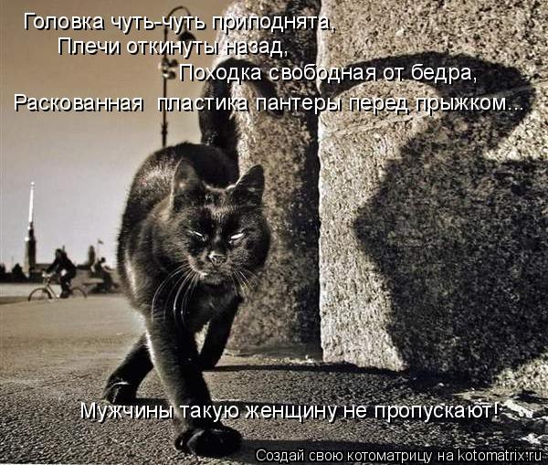 Головка чуть-чуть приподнята, Плечи откинуты назад, Походка свободная от бедра, Раскованная пласт... Котоматрица: Головка чуть-чуть приподнята, Плечи откинуты назад, Походка свободная от бедра, Раскованная пластика пантеры перед прыжком... Мужчины так