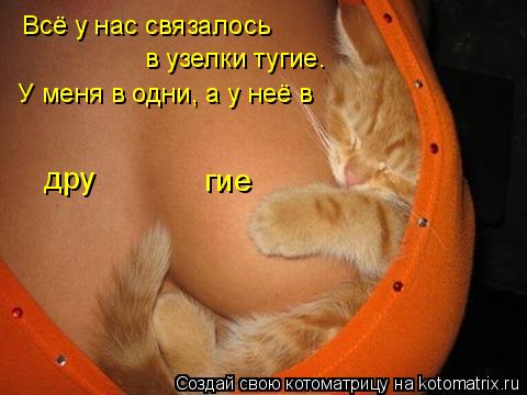 Всё у нас связалось в узелки тугие. У меня в одни, а у неё в дру гие... Котоматрица: Всё у нас связалось в узелки тугие. У меня в одни, а у неё в дру гие