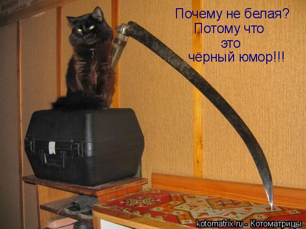 Почему не белая? Потому что это чёрный юмор!!!... Котоматрица: Почему не белая? Потому что это чёрный юмор!!!