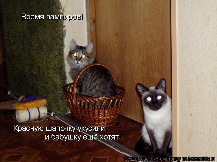 Время вампиров! Красную шапочку укусили, и бабушку ещё хотят!... Котоматрица: Время вампиров! Красную шапочку укусили, и бабушку ещё хотят!
