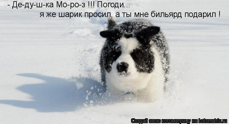 я же шарик просил, а ты мне бильярд подарил ! - Де-ду-ш-ка Мо-ро-з !!! Погоди...... Котоматрица: я же шарик просил, а ты мне бильярд подарил ! - Де-ду-ш-ка Мо-ро-з !!! Погоди...