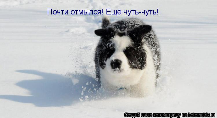 Почти отмылся! Ещё чуть-чуть!... Котоматрица: Почти отмылся! Ещё чуть-чуть!