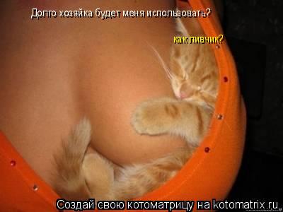 Долго хозяйка будет меня использовать, как ливчик? Долго хозяйка будет меня использовать? как ливчик?... Котоматрица: Долго хозяйка будет меня использовать, как ливчик? Долго хозяйка будет меня использовать? как ливчик?