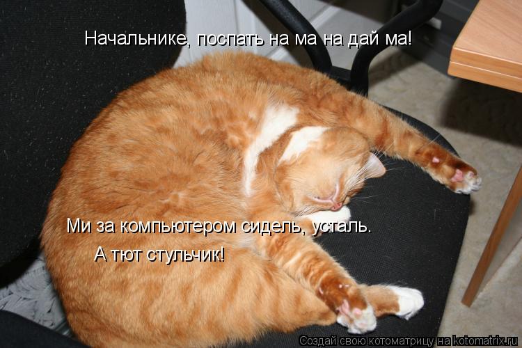Начальнике, поспать на ма на дай ма! Ми за компьютером сидель, усталь. А тют стульчик!... Котоматрица: Начальнике, поспать на ма на дай ма! Ми за компьютером сидель, усталь. А тют стульчик!