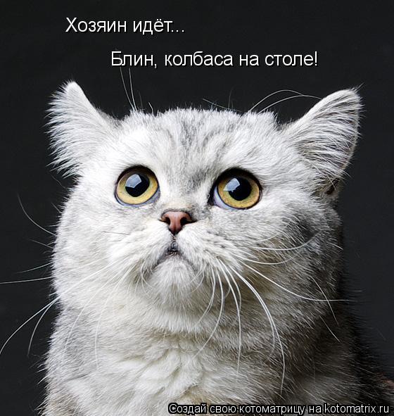 Хозяин идёт... Блин, колбаса на столе!... Котоматрица: Хозяин идёт... Блин, колбаса на столе!