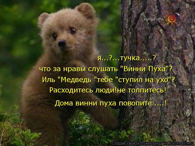 Котоматрица: я...?...тучка.....? что за нравы слушать "Винни Пуха"? Иль "Медведь "тебе "ступил на ухо"? Расходитесь люди!не толпитесь! Дома винни пуха повопите ...