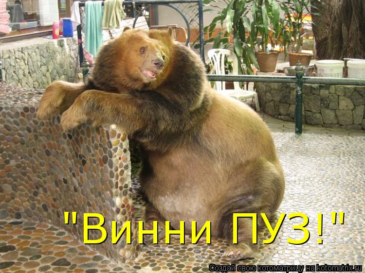 Котоматрица: "Винни ПУЗ!"