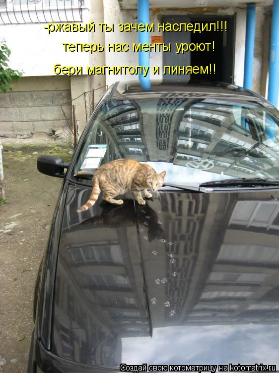 Котоматрица: -ржавый ты зачем наследил!!! теперь нас менты уроют! бери магнитолу и линяем!!