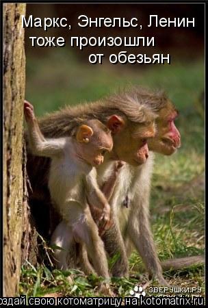 Маркс, Энгельс, Ленин тоже произошли от обезьян... Котоматрица: Маркс, Энгельс, Ленин тоже произошли от обезьян