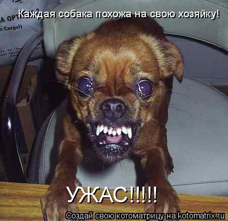 Котоматрица: Каждая собака похожа на свою хозяйку! УЖАС!!!!!