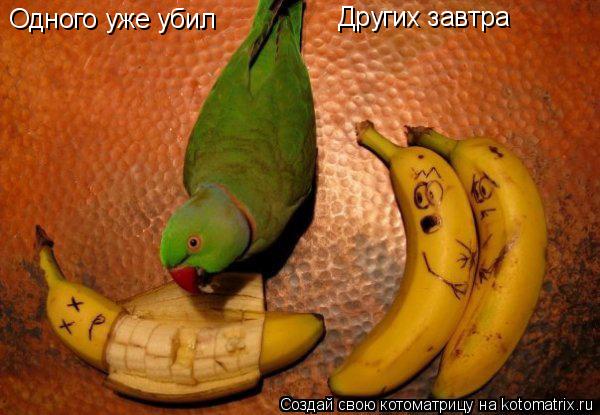 Котоматрица: Одного уже убил Других завтра