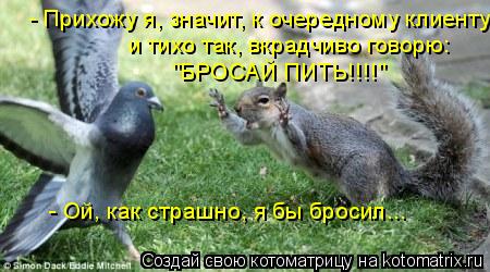 Котоматрица: - Прихожу я, значит, к очередному клиенту и тихо так, вкрадчиво говорю:  "БРОСАЙ ПИТЬ!!!!" - Ой, как страшно, я бы бросил...
