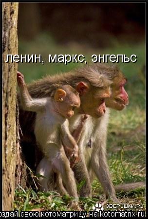 Котоматрица: ленин, маркс, энгельс
