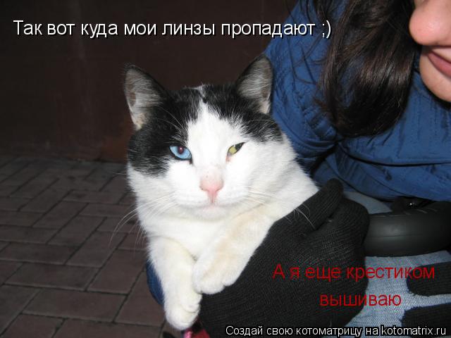 Так вот куда мои линзы пропадают ;) вышиваю А я еще крестиком... Котоматрица: Так вот куда мои линзы пропадают ;) вышиваю А я еще крестиком