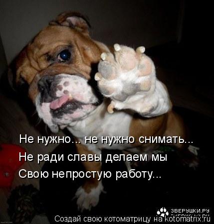 Не нужно... не нужно снимать... Не ради славы делаем мы Свою непростую работу...... Котоматрица: Не нужно... не нужно снимать... Не ради славы делаем мы Свою непростую работу...
