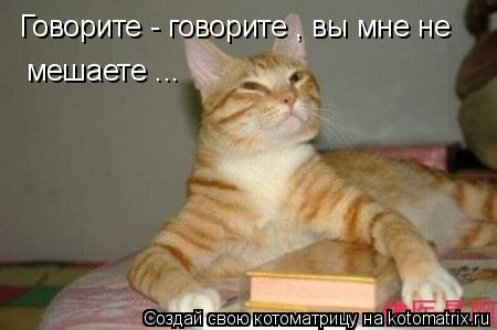 Говорите - говорите , вы мне не мешаете ...... Котоматрица: Говорите - говорите , вы мне не мешаете ...
