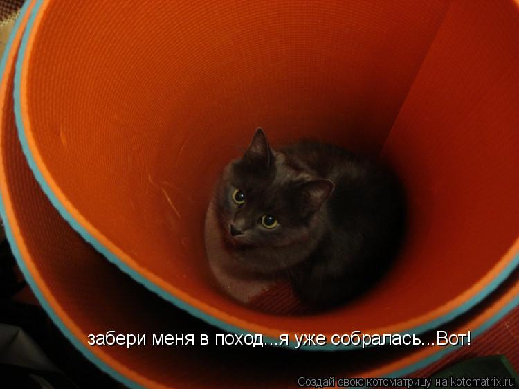 забери меня в поход...я уже собралась...Вот!... Котоматрица: забери меня в поход...я уже собралась...Вот!