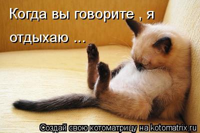 Когда вы говорите , я отдыхаю ...... Котоматрица: Когда вы говорите , я отдыхаю ...