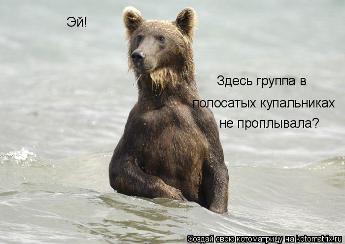 Эй! Здесь группа в полосатых купальниках не проплывала?... Котоматрица: Эй! Здесь группа в полосатых купальниках не проплывала?