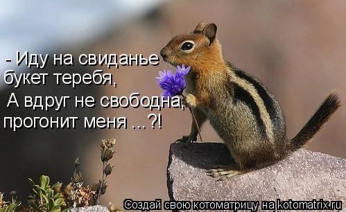 А вдруг не свободна, прогонит меня ...?! букет теребя, - Иду на свиданье... Котоматрица: А вдруг не свободна, прогонит меня ...?! букет теребя, - Иду на свиданье