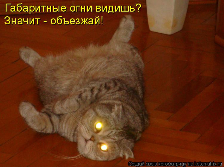 Габаритные огни видишь? Значит - объезжай!... Котоматрица: Габаритные огни видишь? Значит - объезжай!