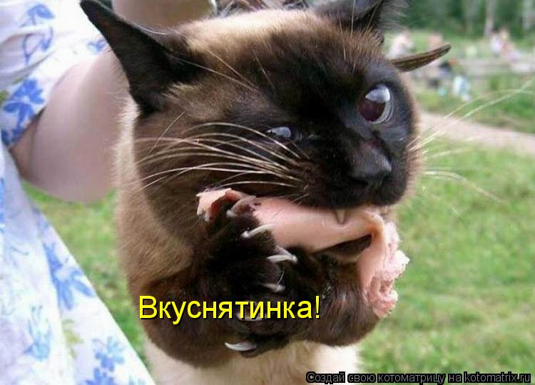 Вкуснятинка!... Котоматрица: Вкуснятинка!