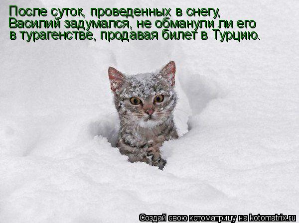 Котоматрица: После суток, проведенных в снегу,  Василий задумался, не обманули ли его в турагенстве, продавая билет в Турцию.