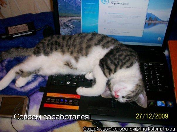 Совсем заработался!... Котоматрица: Совсем заработался!