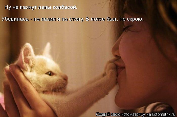 Ну не пахнут лапы колбасой. Убедилась - не лазил я по столу. В лотке был, не скрою.... Котоматрица: Ну не пахнут лапы колбасой. Убедилась - не лазил я по столу. В лотке был, не скрою.