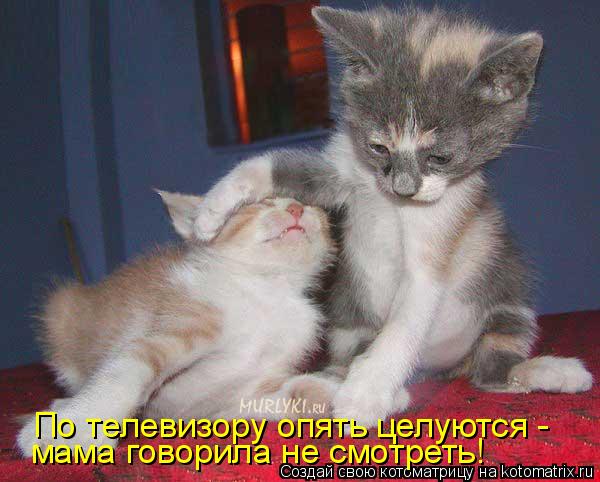 По телевизору опять целуются - мама говорила не смотреть!... Котоматрица: По телевизору опять целуются - мама говорила не смотреть!